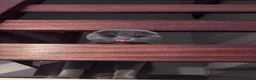 Scottish Fold cats for stud: Blue Scottish fold available for stud  - Advert 15