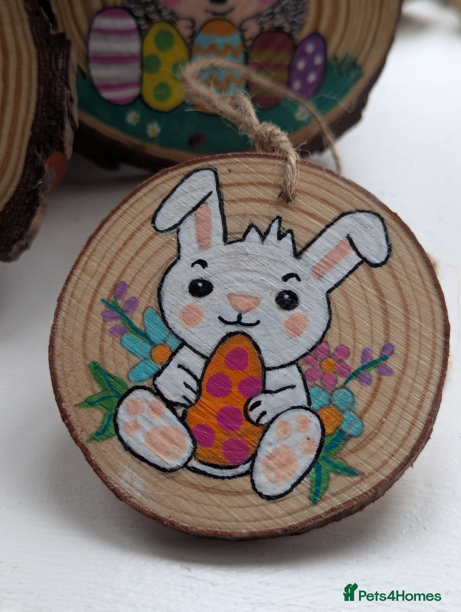 Pygmy Hedgehog rodents Gorgeous Little Hoglets/ Ready Now/ REDUCED!!! - Advert 1