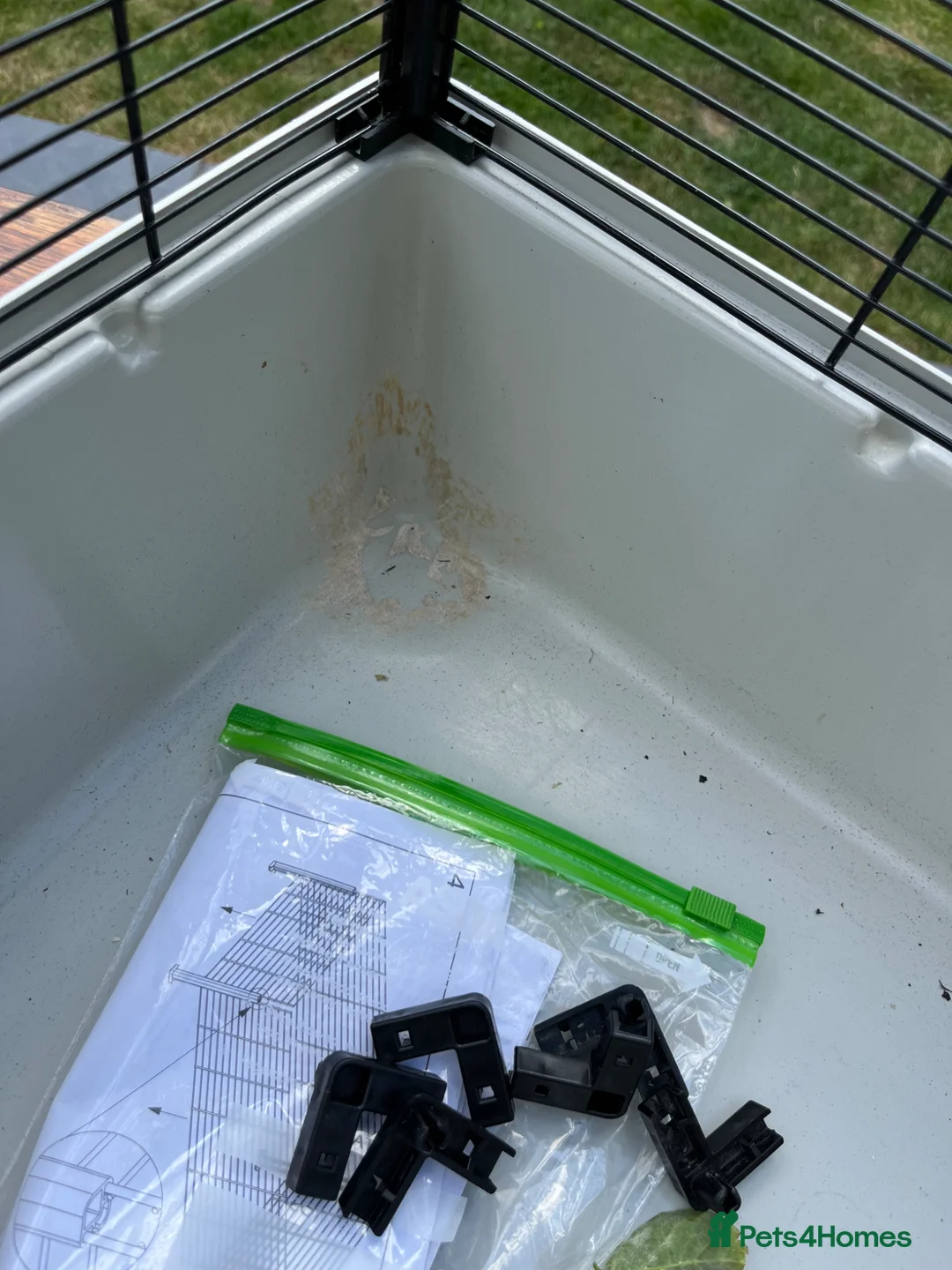 Hamster rodents for sale: Syrian hamster cage in Surbiton - Advert 4
