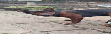 Chinese Red Dog 1