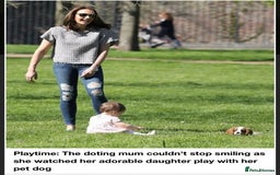 Cavalier King Charles Spaniel dogs for stud: Extensively Health Tested Cavalier King Charles Sp in Mansfield - Image 33