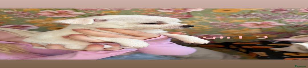 girl 3