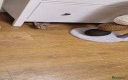 Abyssinian cats for sale: Beautiful blue boy 💙 - Image 11