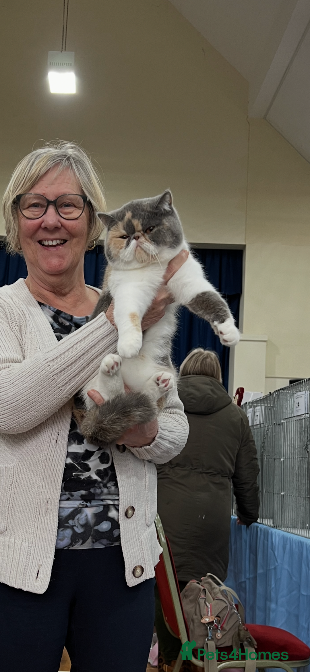 Gallery Image {{count}}