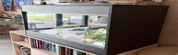 Leopard Gecko reptiles for sale: Friendly and very easy Gecko  in Polegate - Advert 7