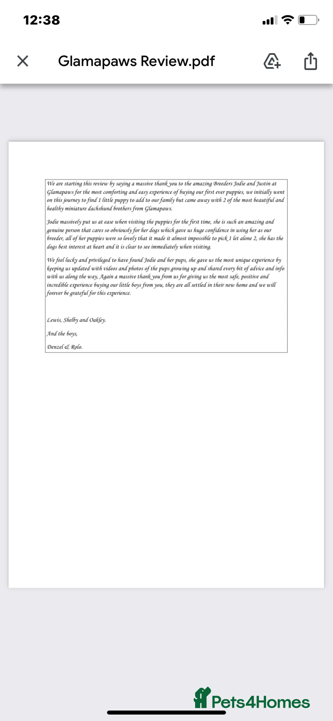 Miniature Dachshund dogs for sale: BEAUTIFUL PRA CLEAR & KC REG MINIS - Advert 32