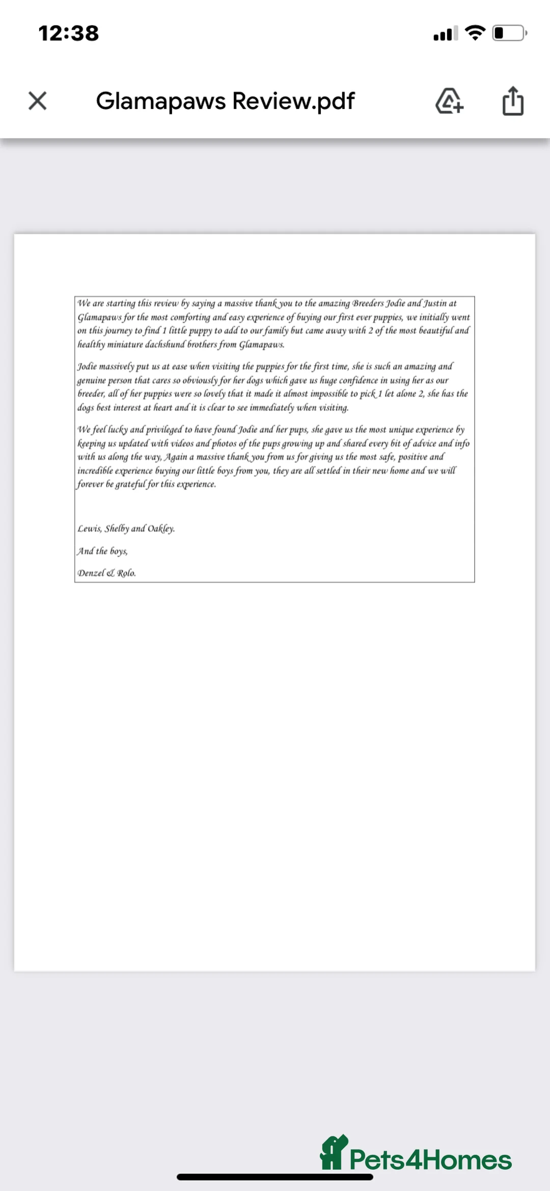 Miniature Dachshund dogs for sale: BEAUTIFUL PRA CLEAR & KC REG MINIS - Advert 30