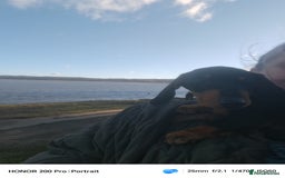 Miniature Dachshund dogs for sale: Relaxed miniature girl - Advert 3