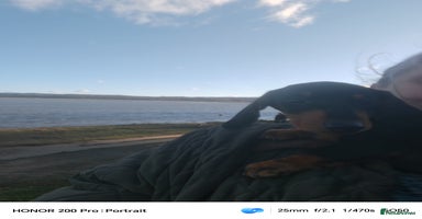 Miniature Dachshund dogs Relaxed miniature girl - Advert 5