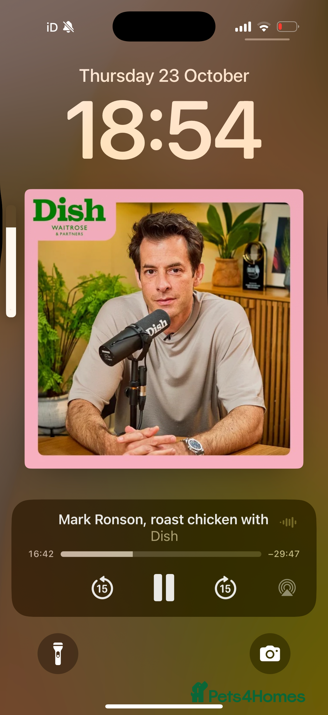 Maine Coon cats for sale: Maine Coon Kittens - Image 13