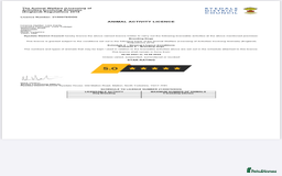 Border Collie dogs for stud: ISDS/KC Registered Border Collie for Stud in York - Image 4