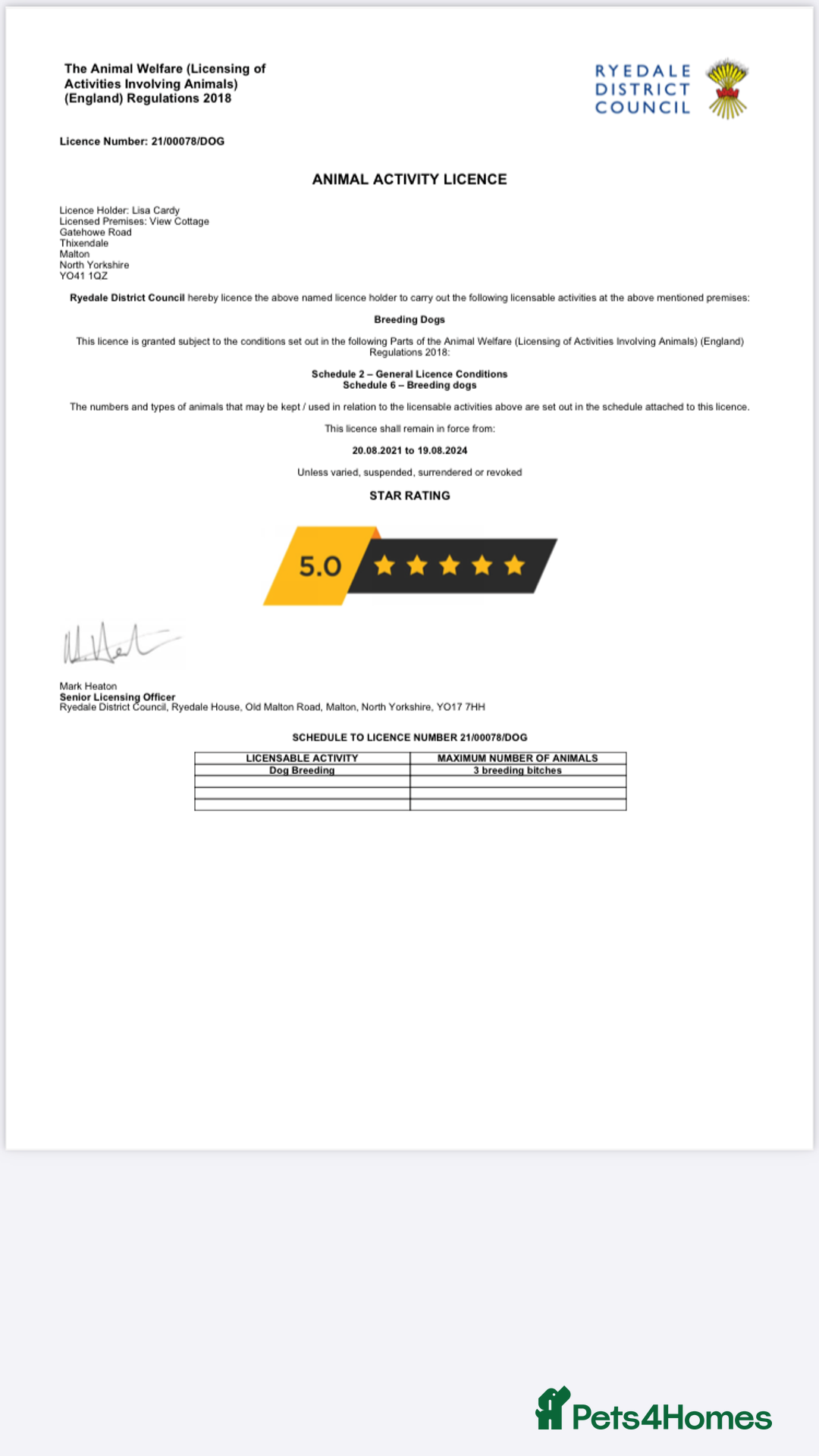 Border Collie dogs for stud: ISDS/KC Registered Border Collie for Stud in York - Advert 4