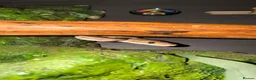 Python Snake reptiles for sale: Ball Python in Wirral - Advert 2
