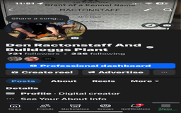 Staffordshire Bull Terrier dogs for sale: Six stunning Staffordshire bull terrier pups  - Image 13