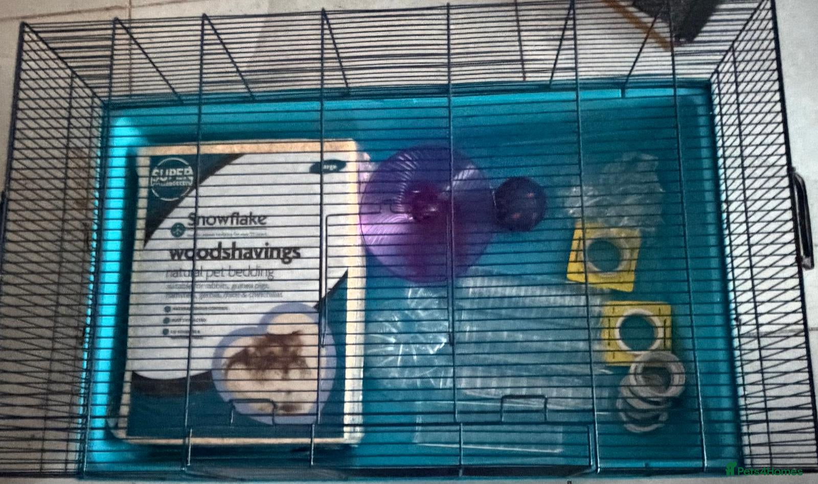 Hamster rodents Syrian hamster cage plus add ins - Advert 1