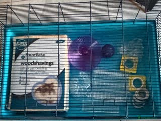 Hamster rodents Syrian hamster cage plus add ins - Advert 3