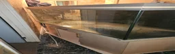 Other/Mixed Breed fish for sale: 5ft Rena 480L fish tank aquarium  - Advert 3