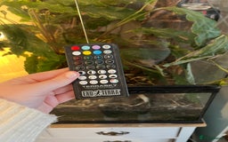 Gecko reptiles for sale: Male Crested Gecko and inclosure. - Image 9