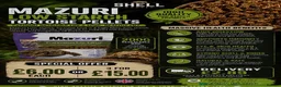 Tortoise reptiles for sale: BABY SULCATAS & SET UPS - Advert 7