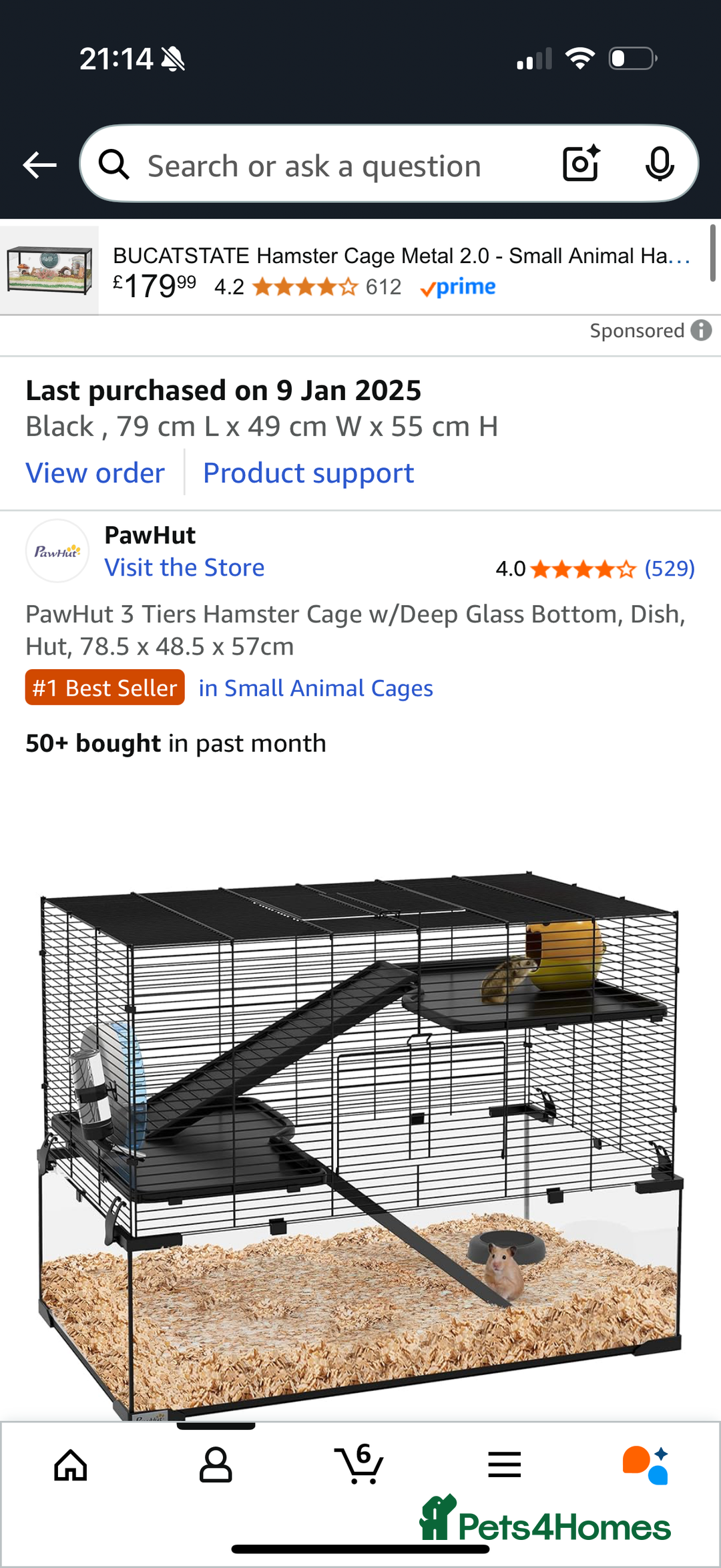 Hamster rodents for sale: 1 female syrian hamster with cage and bedding - Image 4