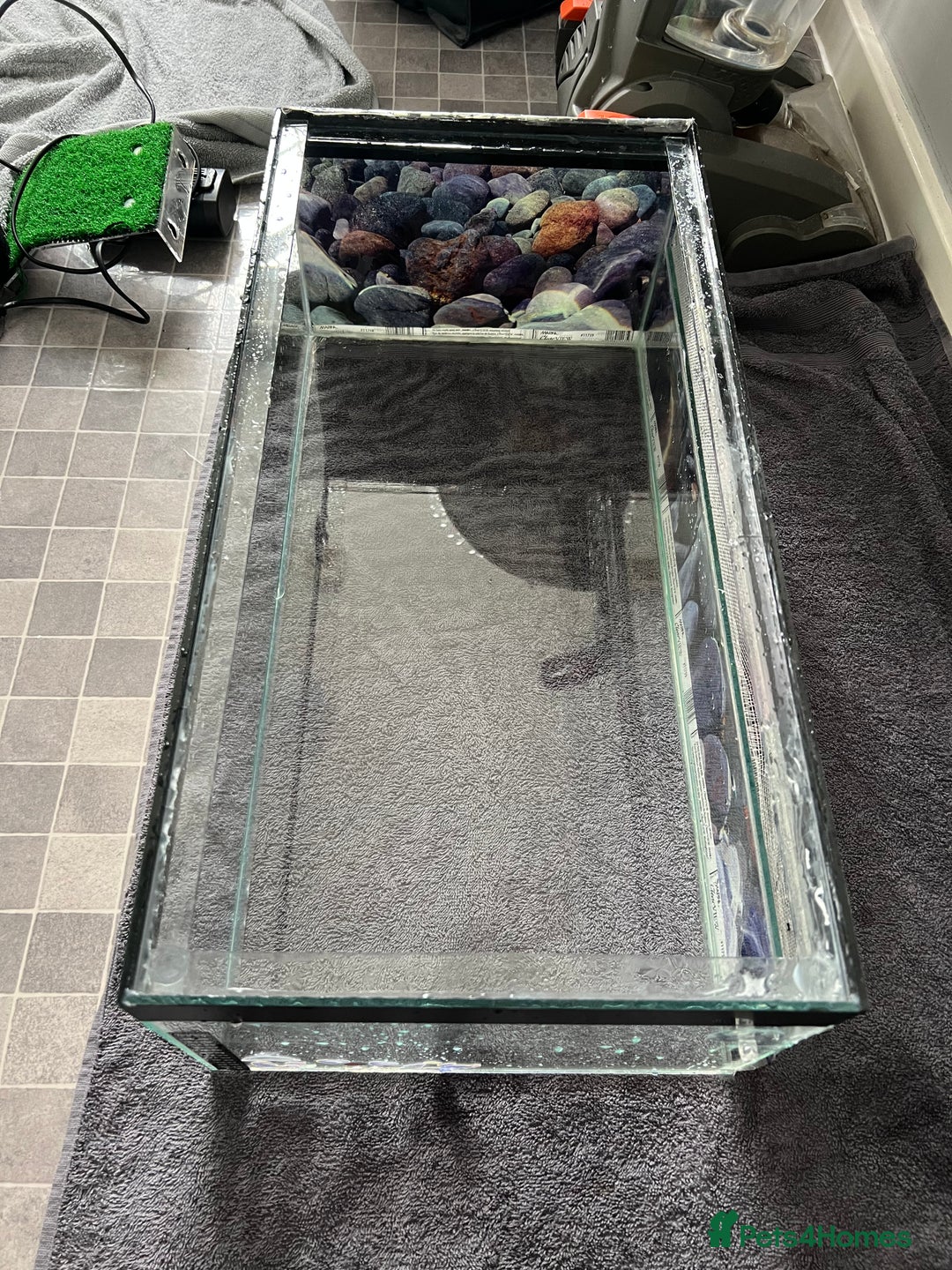 Turtle reptiles for sale: Reptile/turtle tank/terrapin/vampire crab tank - Image 8