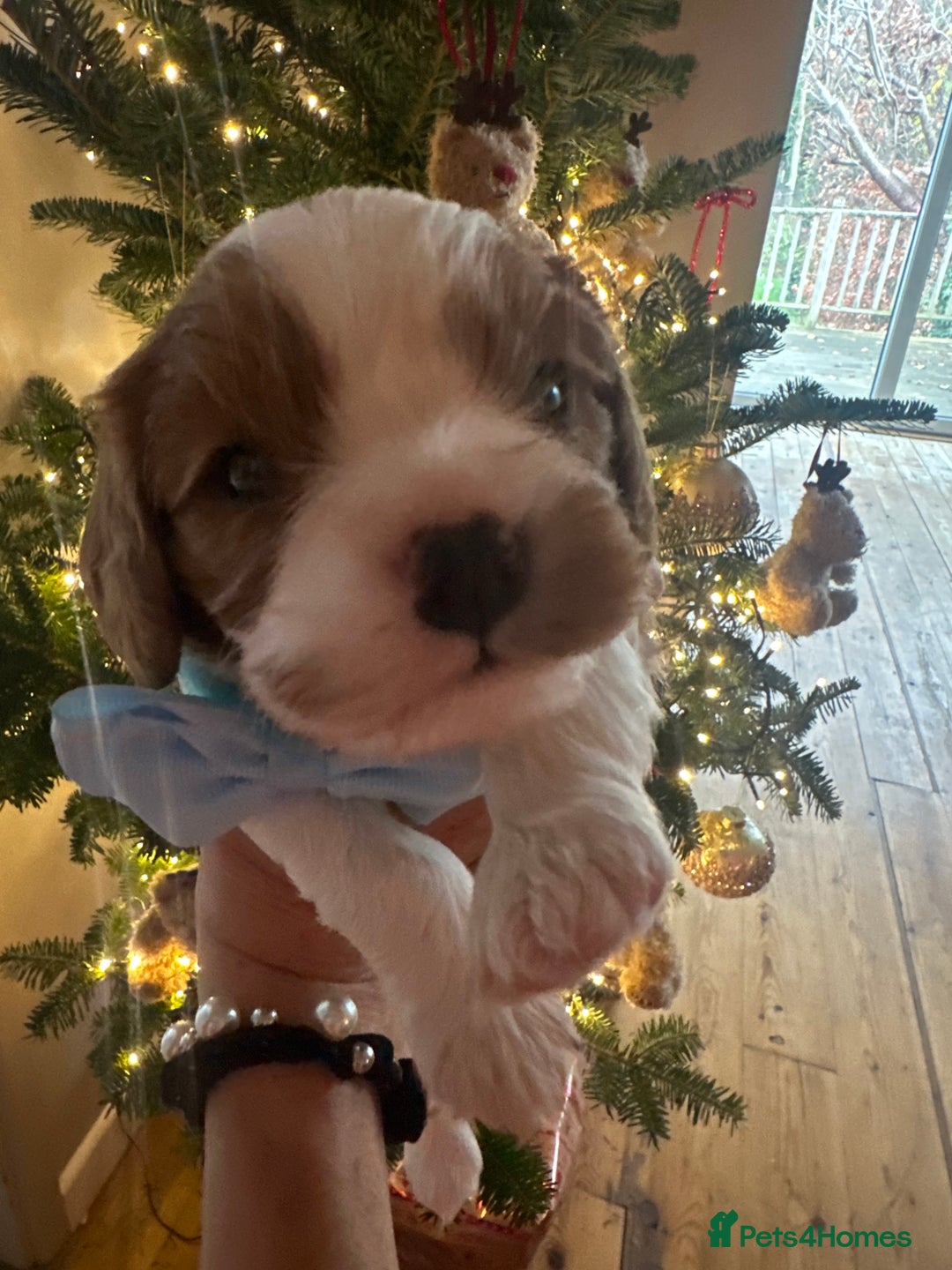 Gallery Image {{count}}