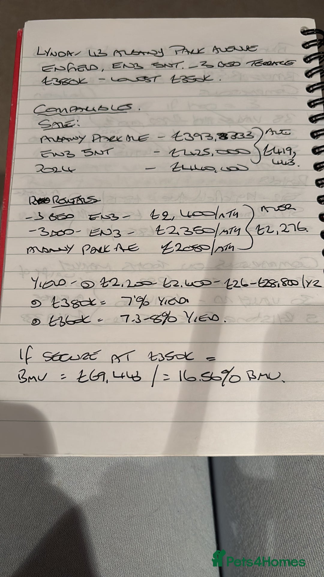 Mixed Breed cats for sale: Mixed Maine Coon & Randall Mix - Advert 7