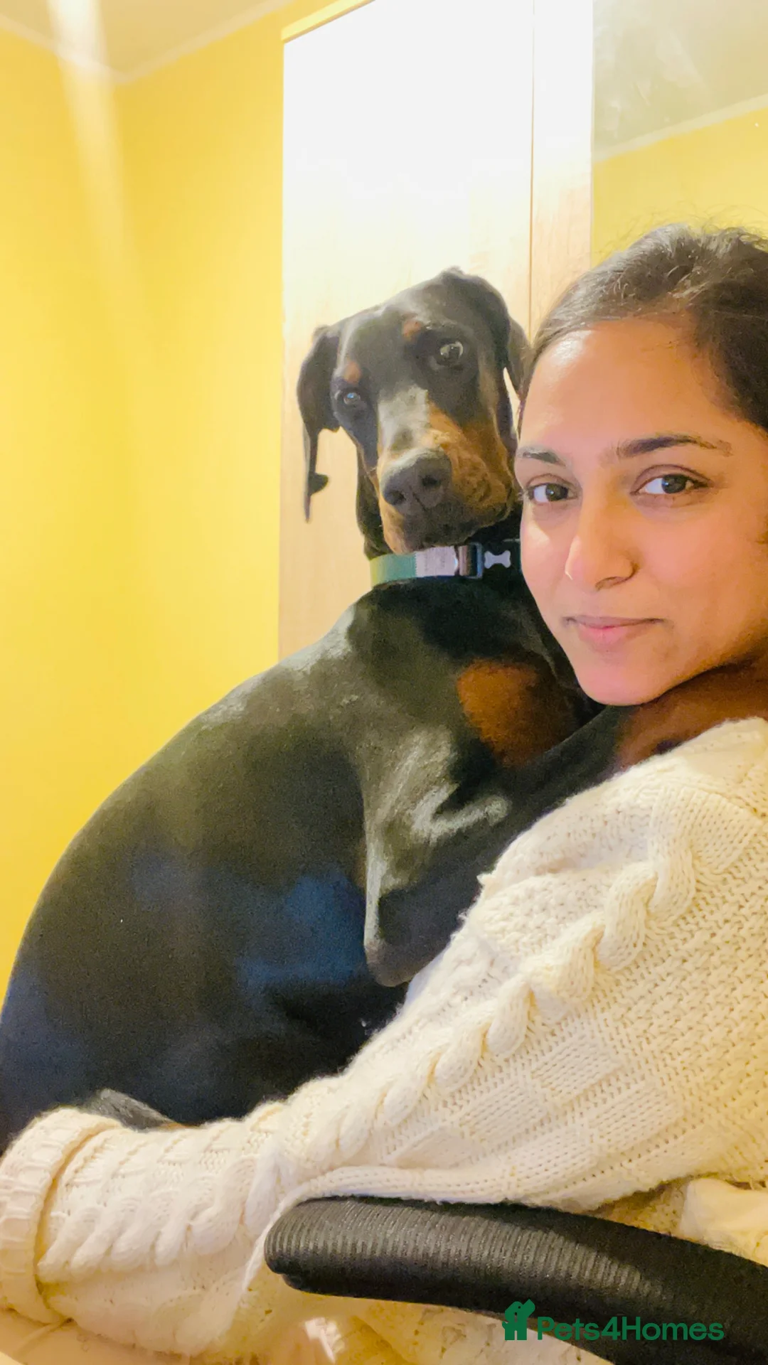 Gallery Image {{count}}