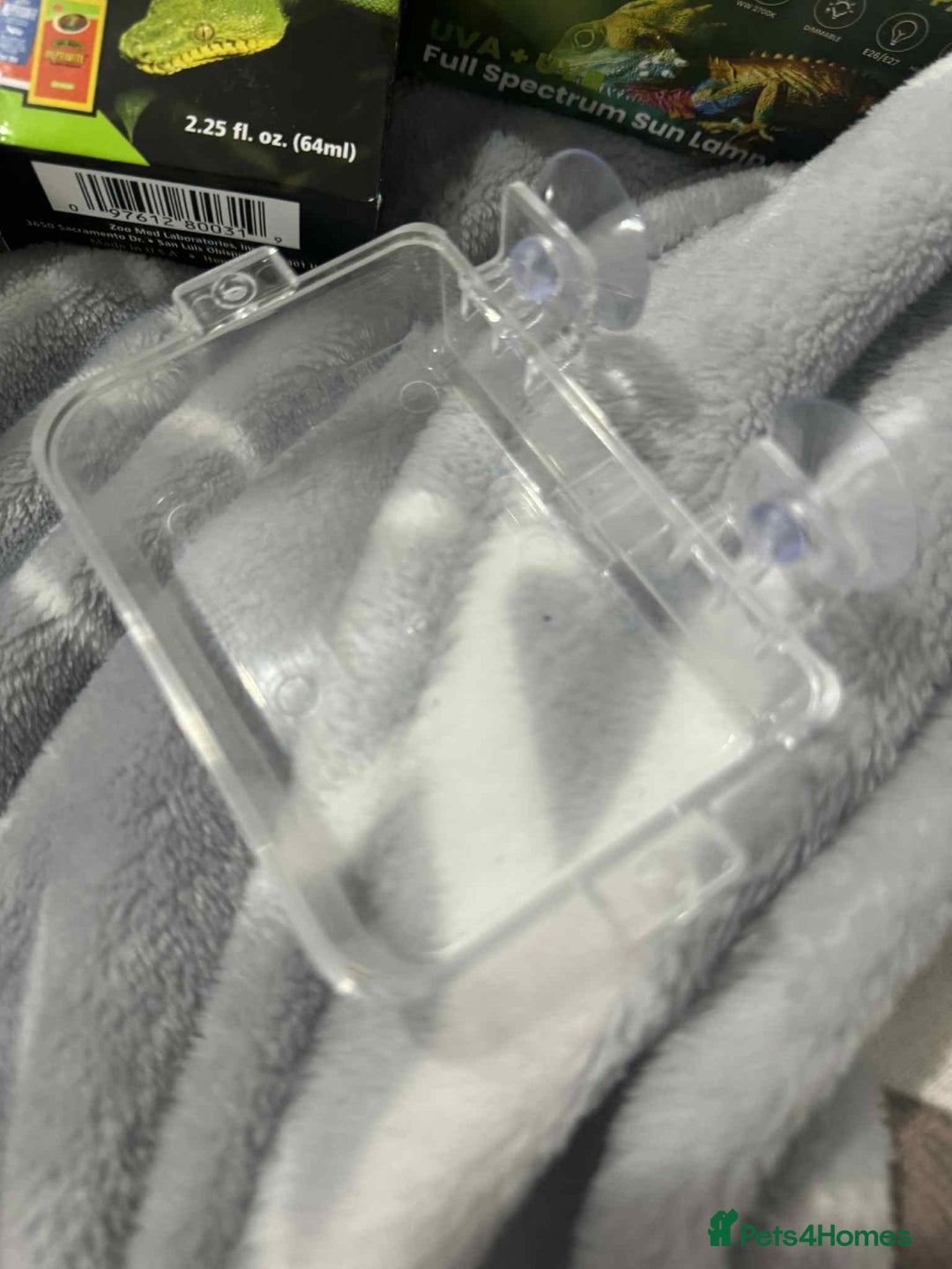 Gecko reptiles for sale: Leapord gecko for sale!! - Advert 11