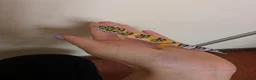Leopard Gecko reptiles for sale: Baby leopard geckos - Advert 8
