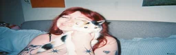 Mixed Breed cats for sale: Beautiful calico female looking for new home  - Advert 5