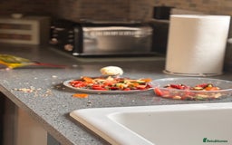 Budgerigars birds for sale: 5 Month Old Budgie - Image 3