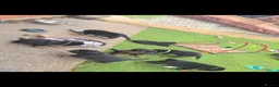 Rottweiler dogs for sale: rottweilers... - Advert 13
