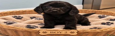Boy 2 