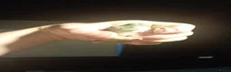 Frog reptiles for sale: Whites tree frogs in Grimsby - Advert 2