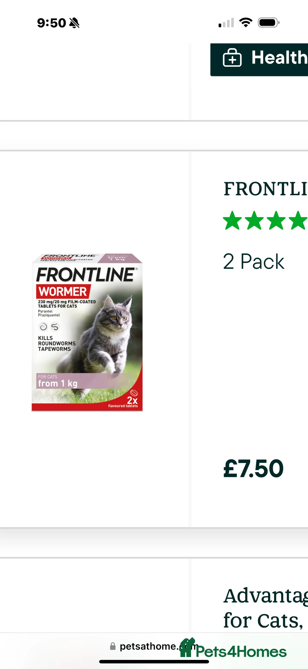 Ragdoll cats for sale: Lovely Ragdoll looking for lovely family - Advert 21