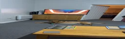 Labrador Retriever dogs for sale: Buddy,  fox red Labrador  in South Shields - Advert 4