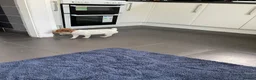 Jack Russell dogs for sale: TRADITIONAL MINI JACK RUSSEL BOY in Leeds - Advert 3