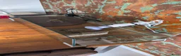 Terrapin reptiles for sale: Two terrapin for sale - Advert 2