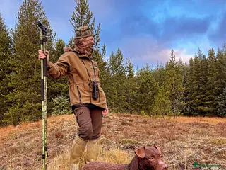 Patterdale Terrier dogs Chocolate patterdale for stud in Doncaster - Advert 2