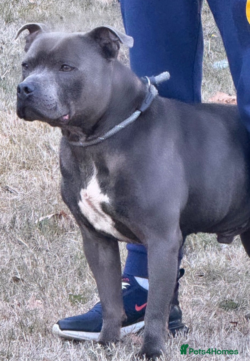 Floyd 