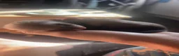 Ferret rodents for sale: Sable Ferrets - Advert 6