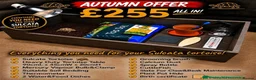 Tortoise reptiles for sale: BABY SULCATAS & SET UPS - Advert 4