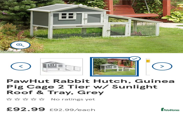 Guinea Pig rodents Rabbit/guineapig run/cage - Advert 12