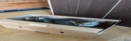 Mixed Breed cats for sale: Pair of tabby kittens for sale - Advert 3