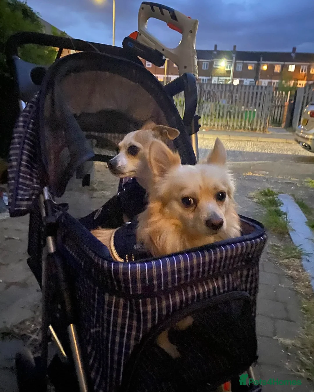 Gallery Image {{count}}