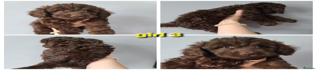 Girl 3