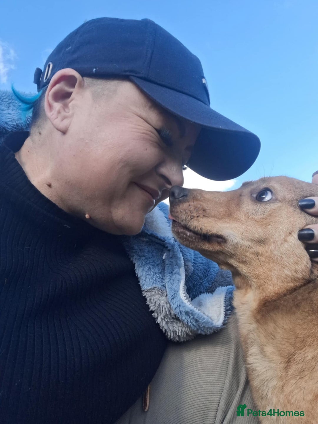 Mixed Breed dogs for adoption: Fajitas for adoption - Image 5