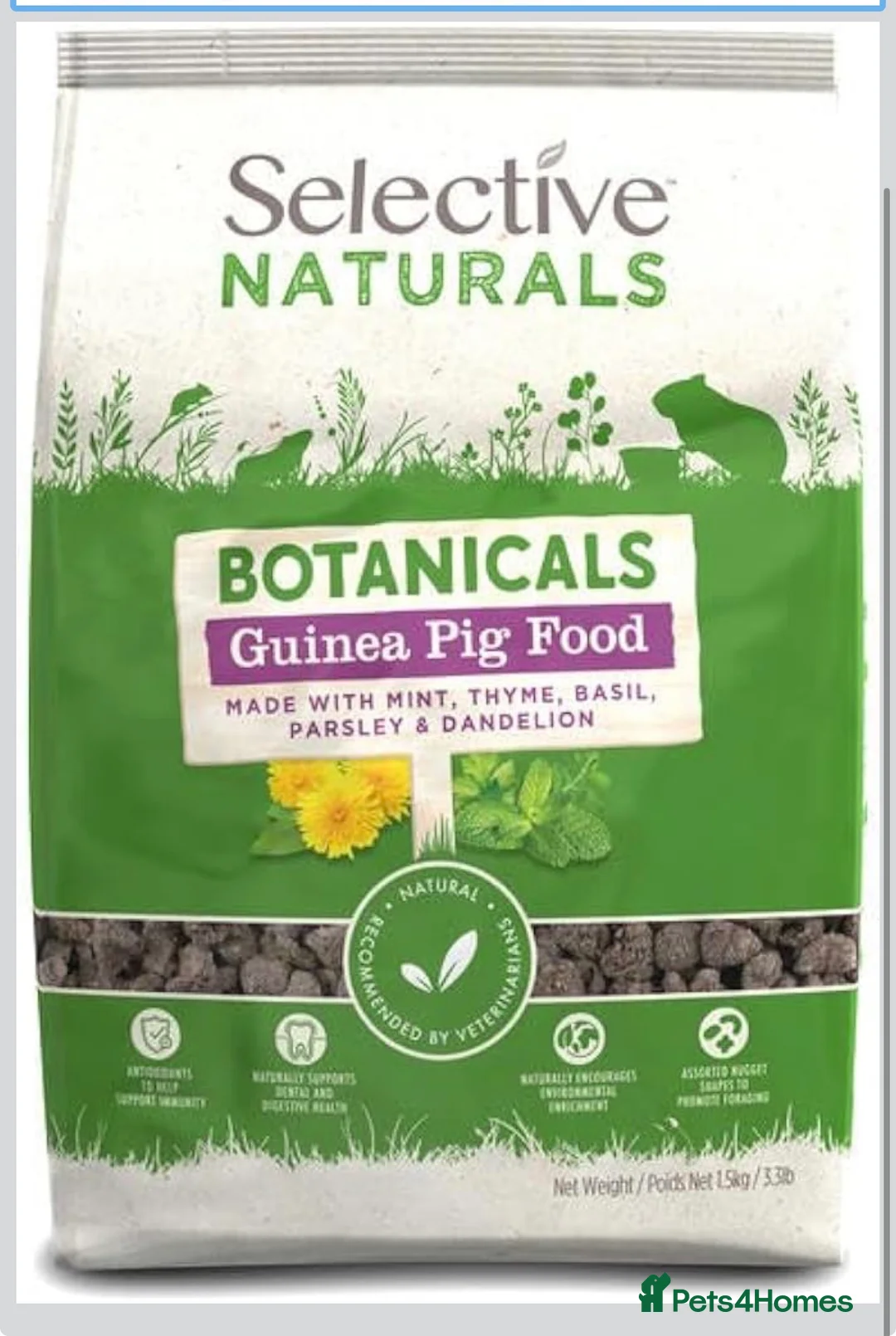 Guinea Pig rodents for sale: 2 Guinea Pigs and cage for sale in Rotherham - Advert 9