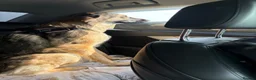German Shepherd dogs for sale: Looking for her forever home  - Advert 3